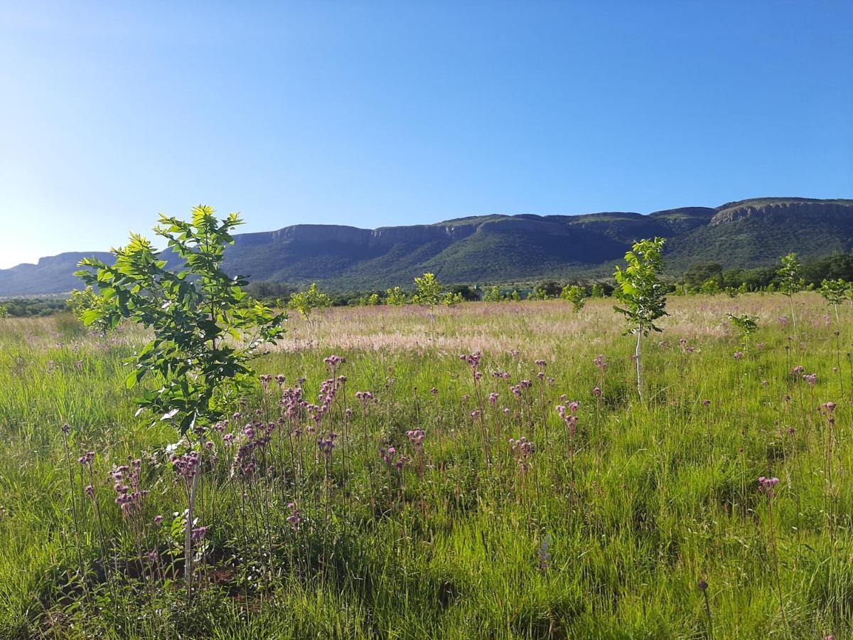 Remhoogte Mountain Lodge Jacksonstuin Eksteriør billede
